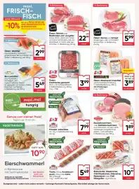 Maximarkt Flugblatt woche 33 Seite 8
