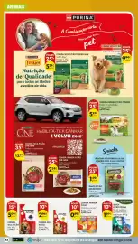 Folheto Pingo Doce semana 33 Página 48: AzinPet comida húmida p/cão €0,89, Purina one mini adult €12,24
