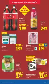 Catálogo Lidl semana 34 Página 21: Milbona bifidus natural cremoso €1,09, Freshona pepinillos gigantes €2,79