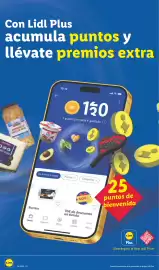 Catálogo Lidl semana 34 Página 26: Burrata €10,00