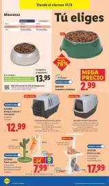 Catálogo Lidl | Bazar Página 28: Zoofari bandeja sanitaria / transportín €12,99, Comedero y bebedero €13,95