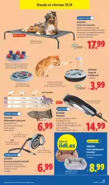 Catálogo Lidl | Bazar Página 29: Zoofari cama cómoda para mascotas €8,99, Zoofari cortapelito €14,99