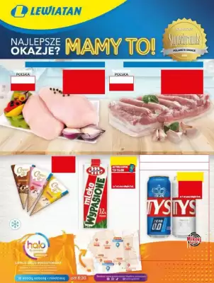 Lewiatan gazetka (ważność do 15-08)