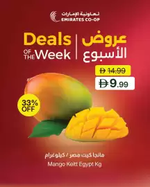 Emirates Co-op catalogue Page 2