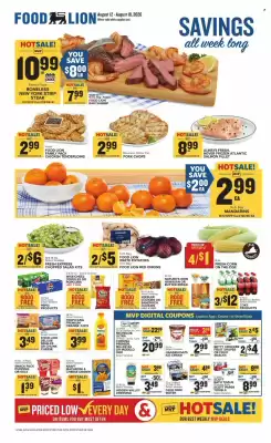 Food Lion weekly ad
