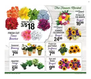 Shaw's flyer Page 6