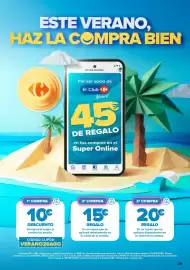 Folleto Carrefour Página 29
