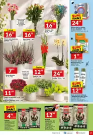 Twój Market gazetka tydzień 33 Strona 17: Róża bukiet €16,99, Gipsówka cięta €16,99