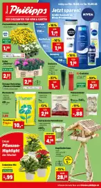 Thomas Philipps Prospekt woche 33 Seite 1: Birds Garden Erdnusskerne €2,88, Meisenknödel €0,88