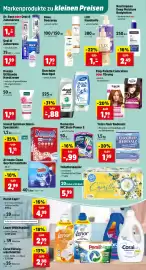 Thomas Philipps Prospekt woche 33 Seite 10: Totes Meer Badesalz €1,99, Domestos WC Stein Power 5 €1,99