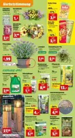 Thomas Philipps Prospekt woche 33 Seite 5: Unterbodengewebe €4,99, Grünelagentferner €2,88