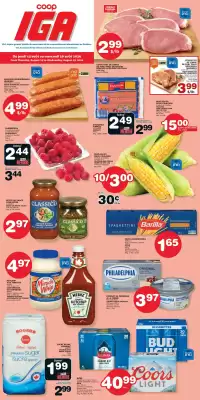 IGA (valid until 19-08)