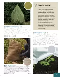 Lee Valley Tools catalogue Page 37