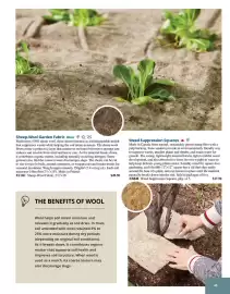 Lee Valley Tools catalogue Page 45
