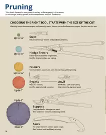 Lee Valley Tools catalogue Page 56