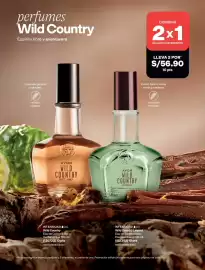 Catálogo Avon Página 108