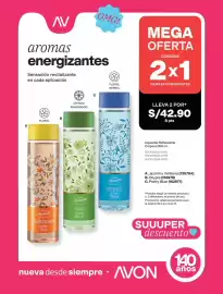 Catálogo Avon Página 233