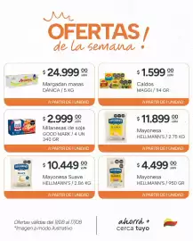 Catálogo El Milagro Mayorista semana 33 Página 15: Hellmann's mayonesa clásica €11.899,00, Margadan masas dánica €24.999,00