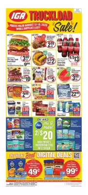 IGA (valid until 18-08)