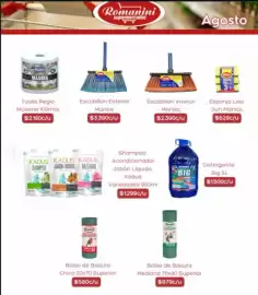 Catálogo Supermercados Romanini Página 5: Superior - bolsa de basura mediana €879,00, Manlac - escobillon interior €2.390,00