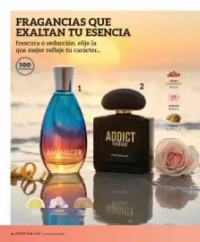 Catálogo Cristian Lay semana 33 Página 24: Cristian lay - addict woman edt spray 100ml €22,00, Cerveza original €1,99