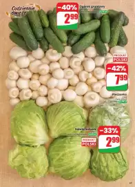 Dino gazetka tydzień 33 Strona 47: Sałata lodowa polska €2,99, Ogórek gruntowy €2,99