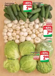Dino gazetka tydzień 33 Strona 47: Sałata lodowa polska €2,99, Ogórek gruntowy €2,99