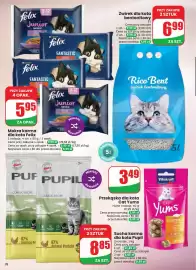 Dino gazetka tydzień 33 Strona 76: Żwirek dla kota bentonitowy Rico Bent €6,99