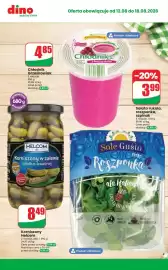 Dino gazetka tydzień 33 Strona 10