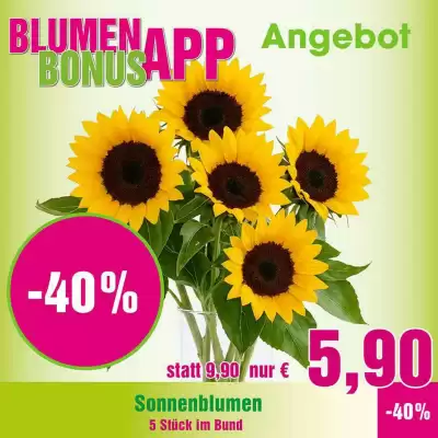 Blumen B&B (gültig bis 16-08)