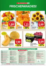 Eurospar Flugblatt Seite 16