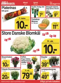 ABC Lavpris tilbudsavis uge 33 Side 2: Stauder €39,98, Solhat / Purpur Solhat / Høstanemone / Astilbe €79,98