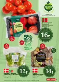 Dagli'Brugsen tilbudsavis Side 5: Coop tomater fra Regnemark €16,00, Danske vildmosekartofler €14,00