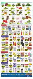 Sellers Bros weekly ad week 33 Page 4: Ziploc Storage or Freezer Bags €2,89, Fanta soft drinks €1,99