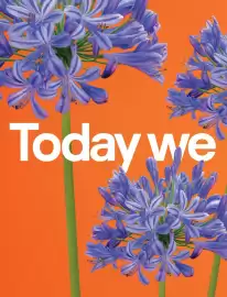 B&Q brochure Page 2
