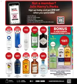 Harry Brown catalogue Page 9: Fireball Cinnamon Whisky €46,90, Tanqueray Gin €58,90