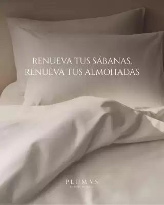 Plumas (válido hasta 12-08)