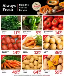 Oxford Freshmarket catalogue week 33 Page 6: Green Pepper Prepack €9,99, Carrot Prepack €12,99