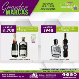 Folleto Bodegas Alianza Página 11