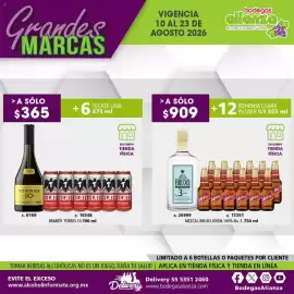 Folleto Bodegas Alianza Página 13