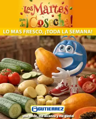 Super Gutiérrez (válido hasta 12-08)