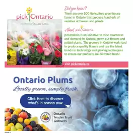 Fortinos flyer week 33 Page 13