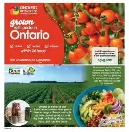 Fortinos flyer week 33 Page 15