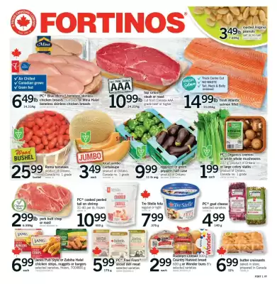 Fortinos flyer (valid until 19-08)