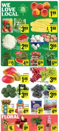 Food Basics flyer week 33 Page 3: 9 Stem Rainbow Roses €10,88, SWEET CORN €1,88