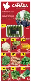 Real Canadian Superstore flyer week 33 Page 10: GROWN IN CANADA FROM YOUR FARMERS Since 1963, Den Haan's has been serving up