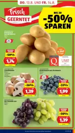 Hofer Flugblatt Seite 17: Heidelbeeren aus Österreich €1,99, Hofer marktplatz champignons €1,39