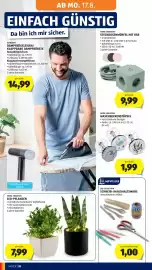 Hofer Flugblatt Seite 34: HOME CREATION LED-PFLANZEN €7,99, JES COLLECTION SCHREIB-/HAUSHALTSWARE €1,00