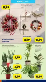 Hofer Flugblatt Seite 40: GRÜNPFLANZE „FARBENSPIEL“ €15,99, Aloe Vera €5,99