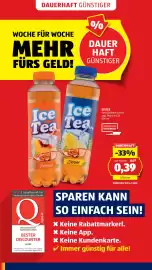 Hofer Flugblatt Seite 6: Eistee €0,39